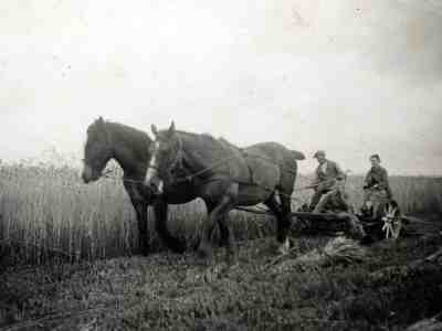 Tienes en Tina aanb het werk