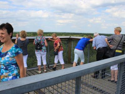 Boomkroonpad, Erma Bouwman