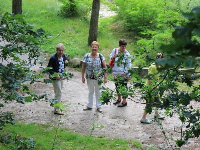 Henie Loopers, Ria Pals